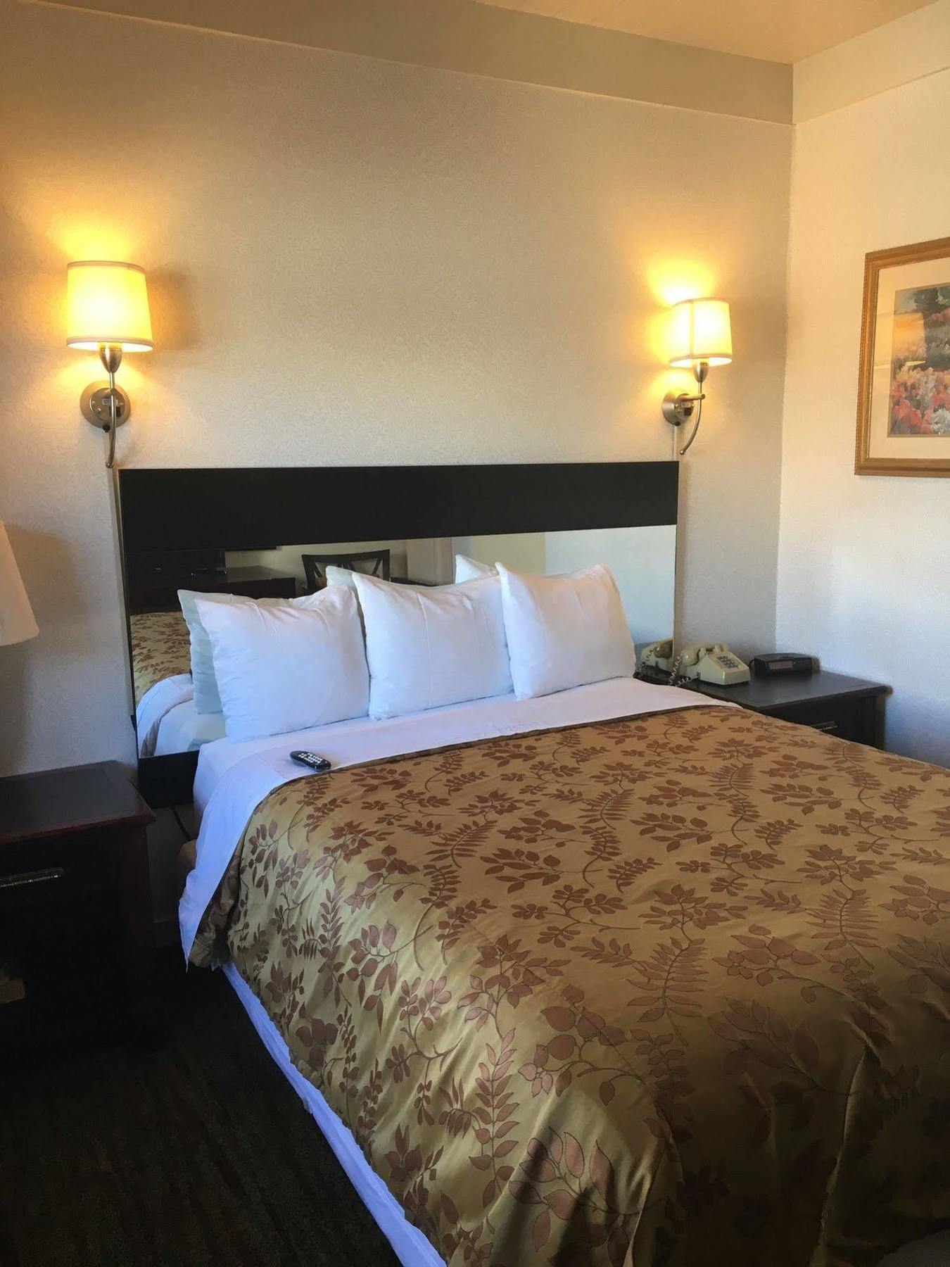 Pacific Heights Inn Σαν Φρανσίσκο Εξωτερικό φωτογραφία
